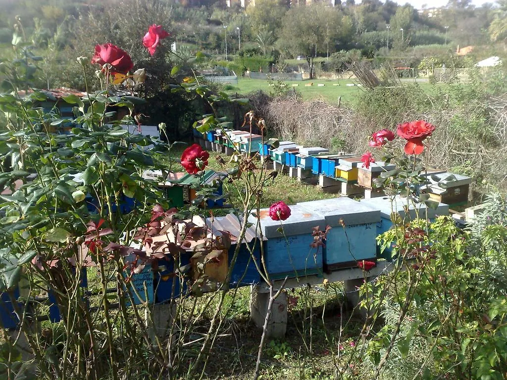 B&B Il Giardino Di Gabri Roma