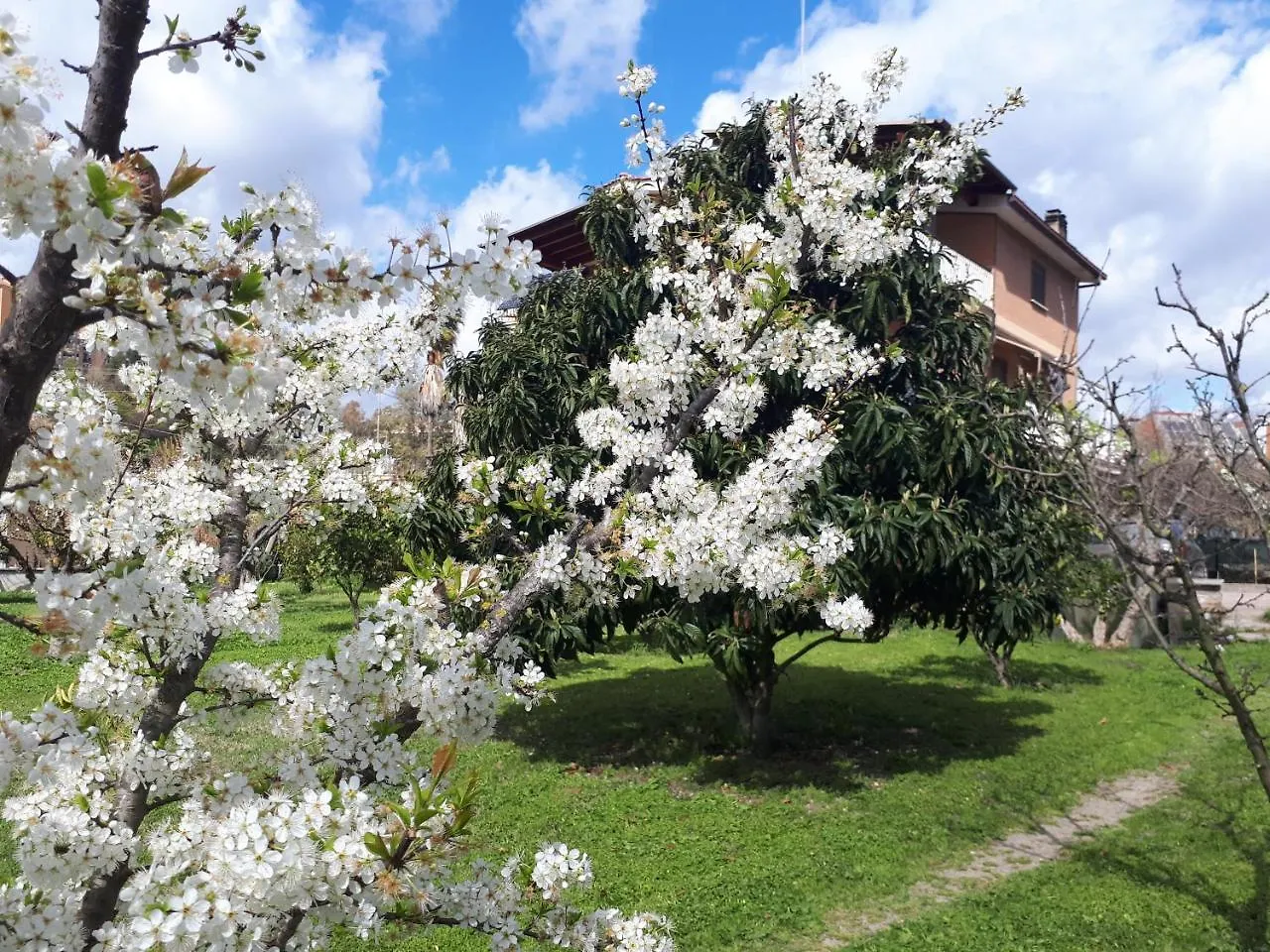 B&B Il Giardino Di Gabri Roma 0*,