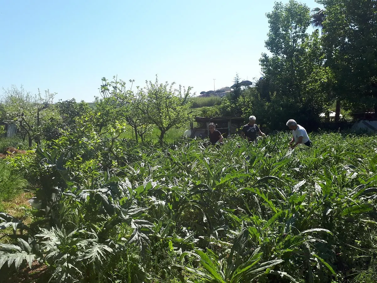 B&B Il Giardino Di Gabri Řím