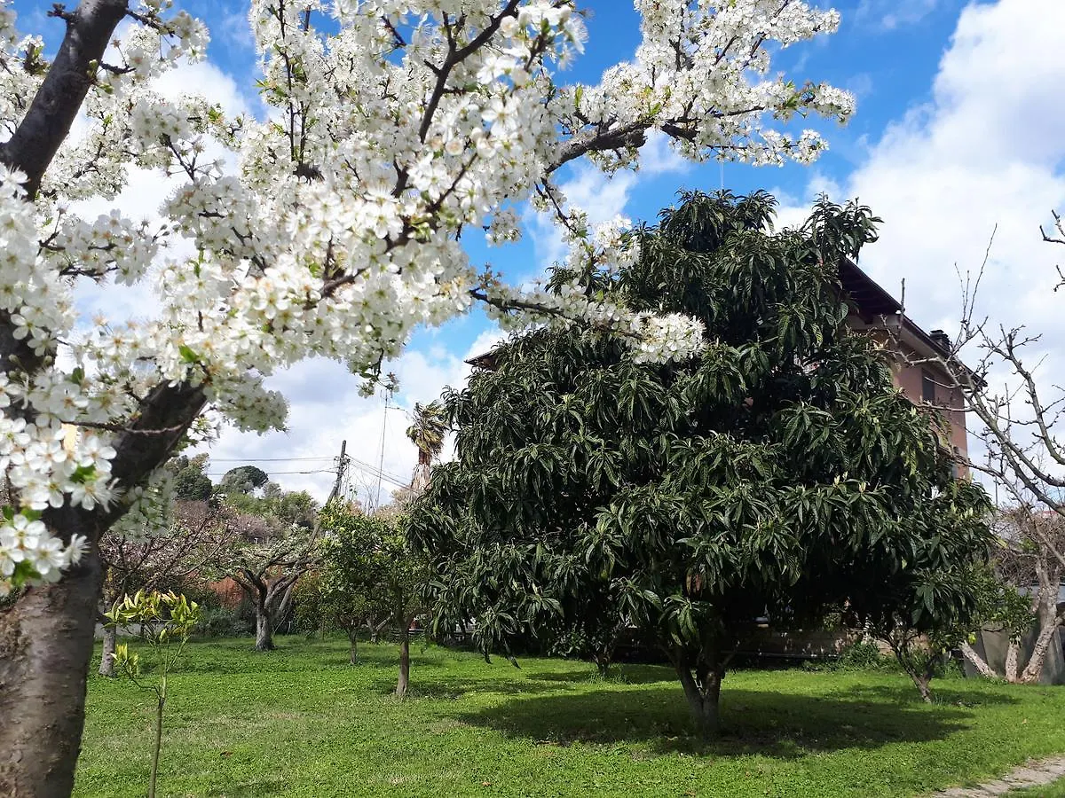 Bed & Breakfast B&B Il Giardino Di Gabri Řím